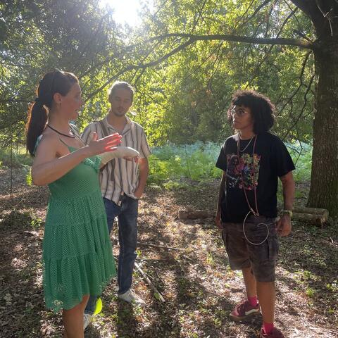 Quinta de Sandelhas